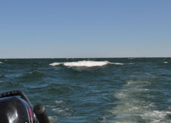 В Сухосоленовской балке потерпела бедствие лодка с двумя волгодонскими рыбаками