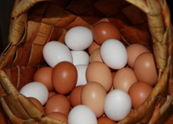 Производство упало в 200 раз: птичий грипп уничтожил яичную индустрию в Цимлянском районе