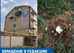 Я попала под обстрел яйцами, - волгодончанку с балкона закидали куриными яйцами