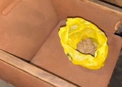 «Сорвал для себя»: в Морозовском районе задержали мужчину с 60 граммами конопли