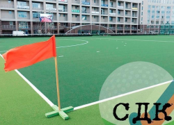 Организацию игр чемпионата России по хоккею на траве в Волгодонске назвали неудовлетворительной