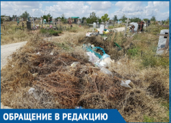 Пусть убирают мусор по человечески, как надо,- волгодончанка Мария Неведрова