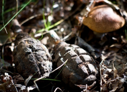 Рядом с Зимовниками нашли 2 гранаты и снаряд