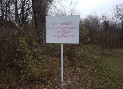 «Гринпис» выступил против лишения дендрария в Волгодонске статуса памятника природы