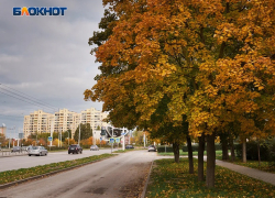 Бабье лето наступило в Волгодонске