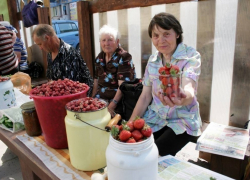 Продавцов не станут выгонять с улиц Волгодонска
