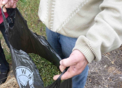 Дневная прогулка 30-летнего волгодонца с пакетом марихуаны завершилась в отделе полиции