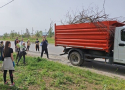 Общегородской субботник пройдет в Волгодонске 