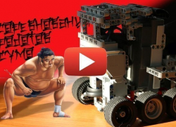 В Волгодонске не на жизнь, а на смерть сразились роботы-сумо