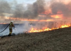 Спасатели рассказали волгодонцам, как спасти себя от весенних пожаров