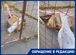 Волгодонцы устали «любоваться» зияющей дырой в асфальте