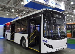 Для перевозки сотрудников Ростовской АЭС закупили новые автобусы