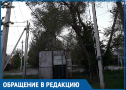 Жители Красного Яра называют "бомбой замедленного действия"опасное дерево 