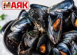 Товар дня: мидии на створке (раковины) за 369, 90₽/кг