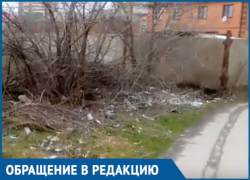 «Может кому-то станет стыдно за это свинство»:  волгодонцы провели видеоэкскурсию по свалке 