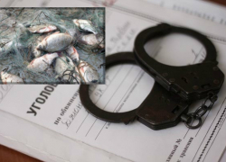 В Волгодонске на котлованах поймали рыбака с самодельной сетью