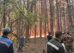 Конец пожароопасного сезона: при этом  в Волгодонске продолжают фиксировать возгорания сухой травы