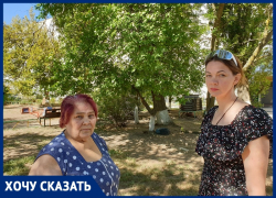 Дом, где упало дерево в Волгодонске, ранее оштрафовали за то, что люди сами удалили опасное дерево
