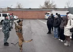 Волгодонские школьники примерили будни стражей порядка: экскурсию в полицию устроили будущим правоохранителям