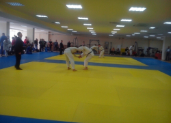 Волгодончанка выиграла чемпионат области по дзюдо