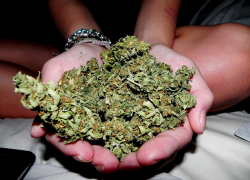 В Волгодонске задержали повара-наркомана, торговавшего марихуаной