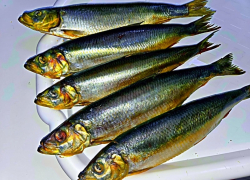 Товар дня: сельдь холодного копчения 550р/кг