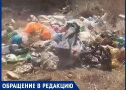 «Рыбалка на свалке»: люди превращают место отдыха в помойку