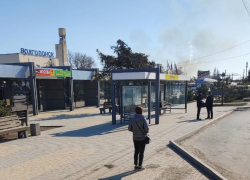 Стая чипированных собак во главе с одичавшей «овчаркой» напала на мужчину рядом с железнодорожным вокзалом Волгодонска