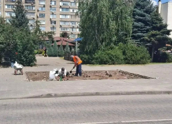 В Волгодонске начали подготовку к переносу памятника Александру Тягливому