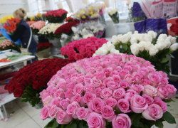 Житель Волгодонска обворовал цветочный магазин, проникнув через открытое окно