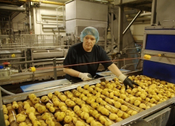 Азовские чипсы и сухарики обошли машиностроителей Волгодонска