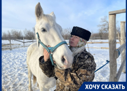 Жеребенка убило вражеским осколком: его испуганную и обмороженную маму из-под обстрела привезли в станицу Романовскую