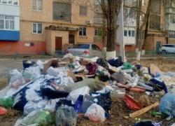 Горожане наторговали, намусорили и припарковались на два миллиона рублей: итоги муниципальной инспекции