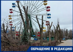 Лишили горожан красивейшего парка: тотальная обрезка деревьев в парке Победы шокировала волгодонцев