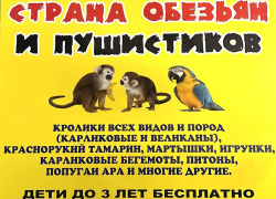 Экзотические обитатели тропиков прибудут в Волгодонск