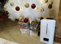 Как наполнить дом ароматом настоящей ёлки, даже если она искусственная