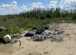 Покрышки вывезли, траву покосили: ДСиГХ преображает город