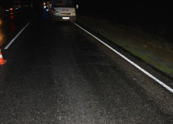  Под Волгодонском сбили насмерть третьего пешехода за неделю