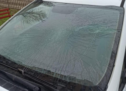 Лобовое стекло вдребезги: в Волгодонске неизвестные выбросили на машину из окна многоэтажки бутылку кефира