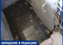 «В «Жилстрое» и в «Водоканале» ждут, пока дом завалится?»: подвалы МКД на Энтузиастов затопило фекалиями 