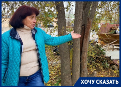 «Строительный мусор, животные отходы и сухостой»: волгодончанка о мульде на Степной