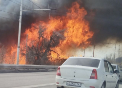 Языки пламени вырываются в Волгодонске в опасной близости с путепроводом