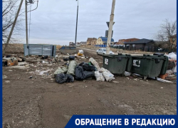 Площадь мусорного очага на проспекте Лазоревый уже составила 1 гектар