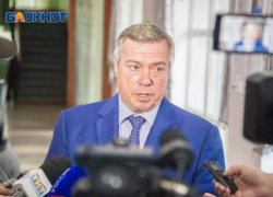 Пришлось вмешиваться силовикам: губернатор Голубев рассказал о конфликте между фермерами на востоке Ростовской области