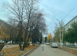 Второй день зимы в Волгодоснке обещает быть холодным и пасмурным