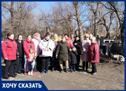«Мы боимся быть насмерть растерзанными»: нелегальный  собачий приют угрожает садоводам в Волгодонске