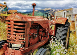 Личное подсобное хозяйство – жизнь на своей земле в удовольствие