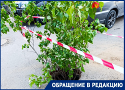 Открытый люк закрыт кустом: жители в шоке от «креативного» решения проблемы с канализацией 