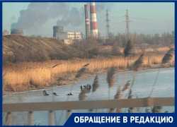Волгодонские рыбаки и хоккеисты снова вышли на лед