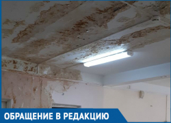 Мокрые стены, грибок и затхлый запах: родители волгодонских учеников показали состояние школы в новом городе